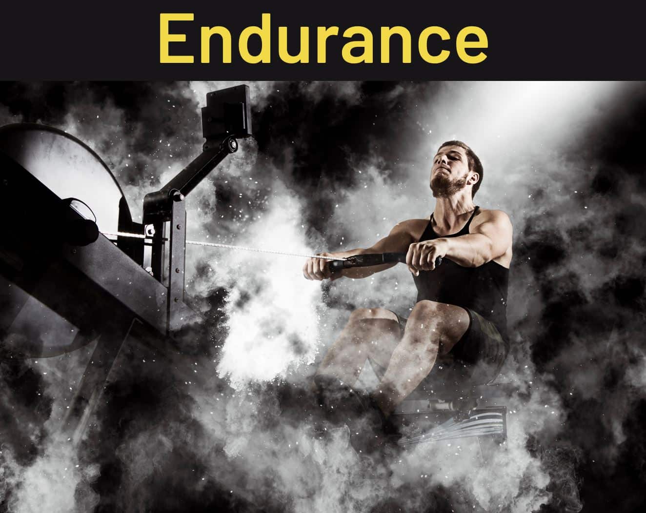 Endurance Training Programs