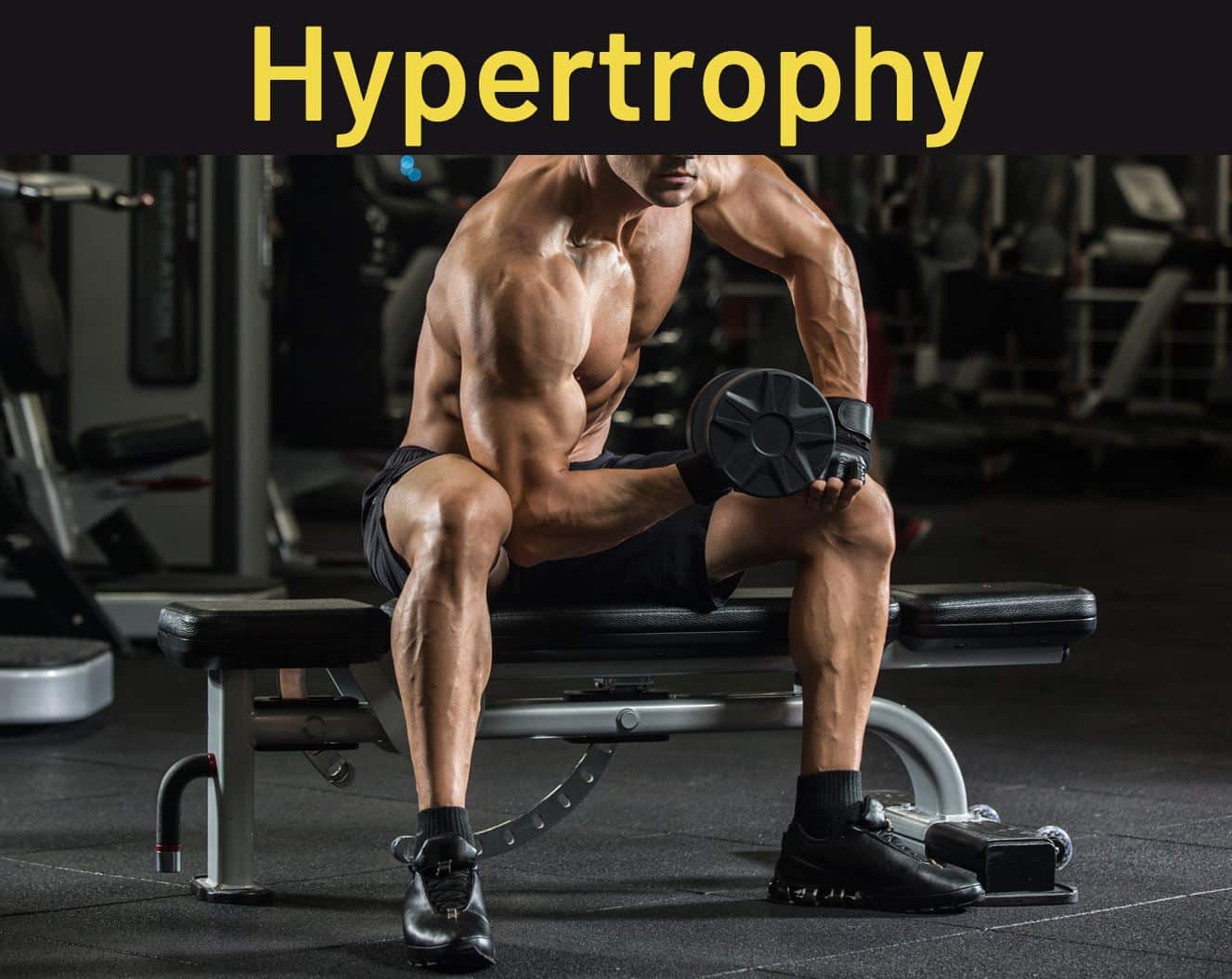Hypertrophy Training Programs