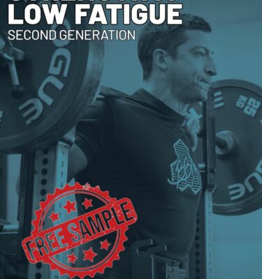 Low Fatigue Strength Template - Free Sample