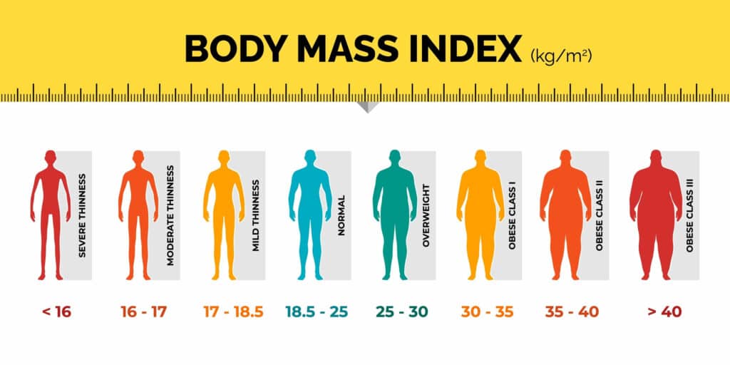 BMI Scale