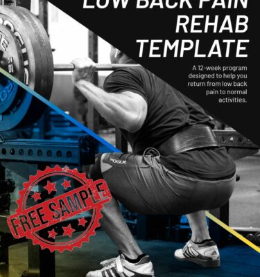 Low Back Rehab Template - Free Sample