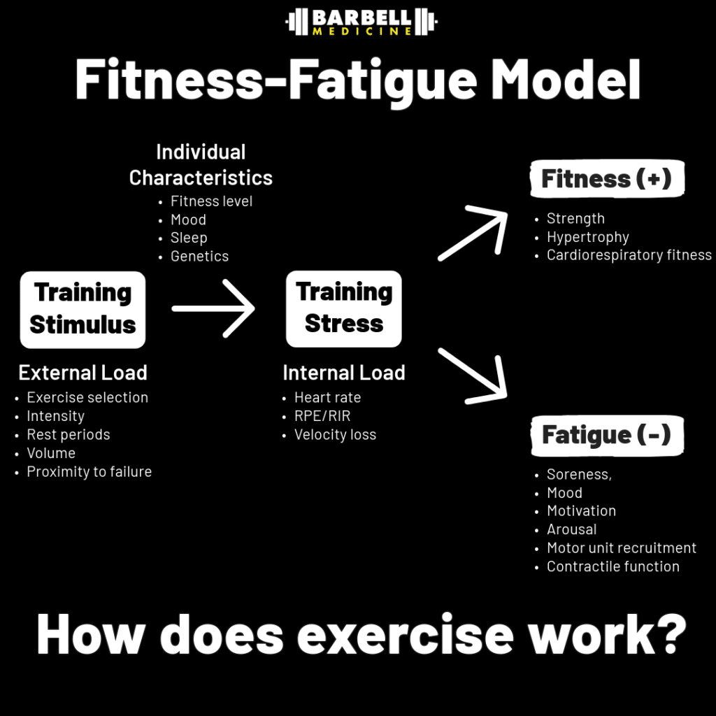 Fitness Fatigue Model