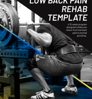 Low Back Pain Rehab