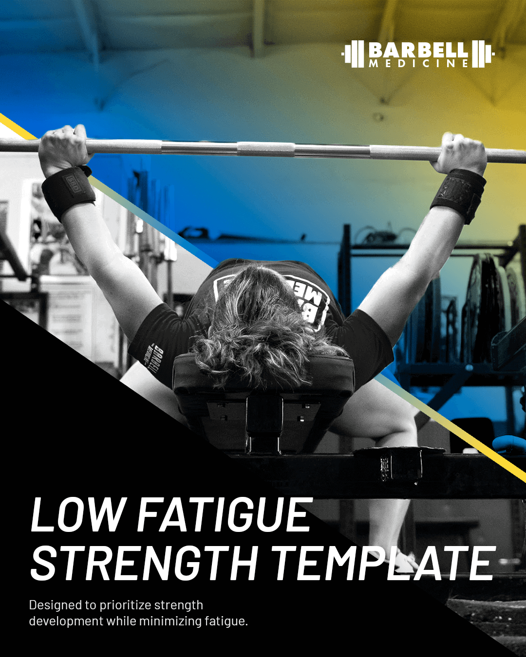 Low Fatigue Strength Training Program and Programming Book